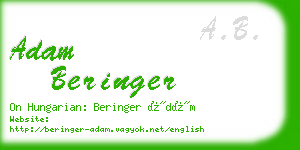 adam beringer business card